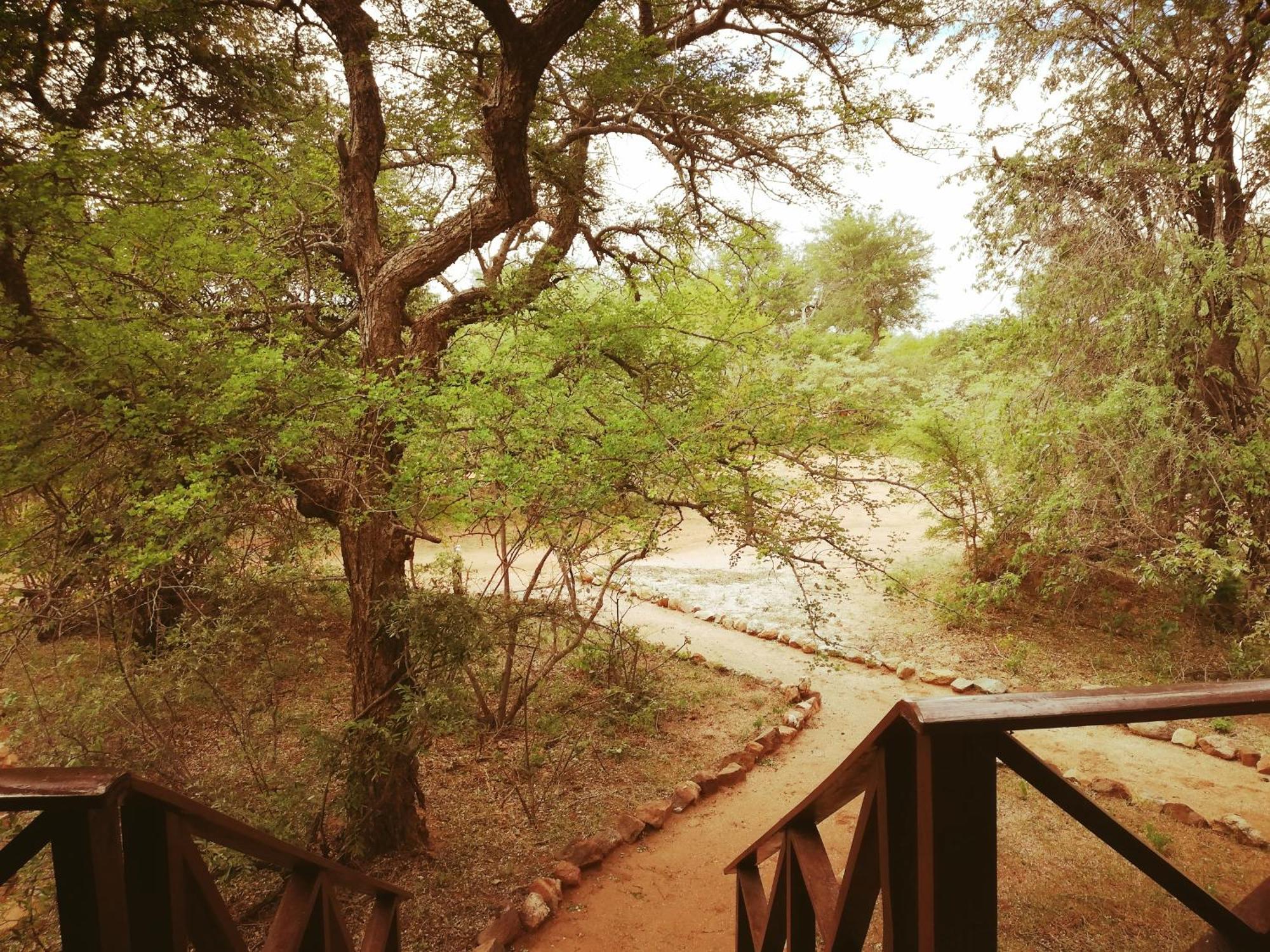 Kelora Bush Camp Hotel Hoedspruit Room photo